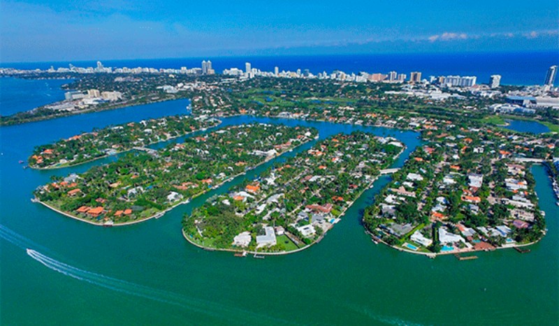 Flamingo Point